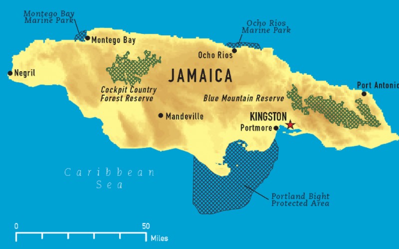 O melhor da Jamaica!